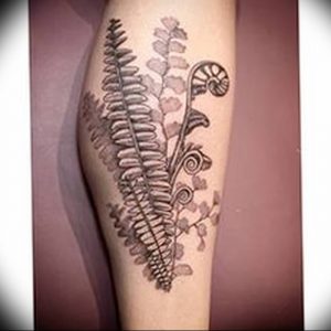 фото тату папоротник от 27.04.2018 №024 - tattoo fern - tattoo-photo.ru