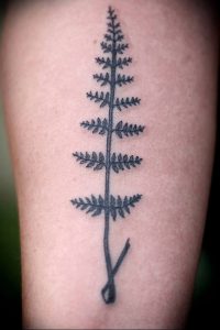 фото тату папоротник от 27.04.2018 №026 - tattoo fern - tattoo-photo.ru