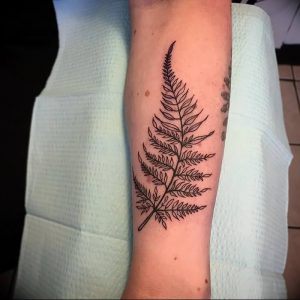 фото тату папоротник от 27.04.2018 №034 - tattoo fern - tattoo-photo.ru