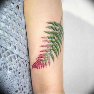 фото тату папоротник от 27.04.2018 №035 - tattoo fern - tattoo-photo.ru