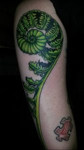 фото тату папоротник от 27.04.2018 №044 - tattoo fern - tattoo-photo.ru