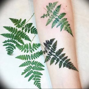 фото тату папоротник от 27.04.2018 №046 - tattoo fern - tattoo-photo.ru