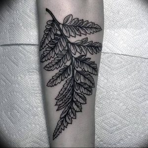 фото тату папоротник от 27.04.2018 №051 - tattoo fern - tattoo-photo.ru