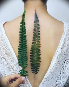 фото тату папоротник от 27.04.2018 №060 - tattoo fern - tattoo-photo.ru