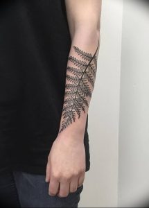 фото тату папоротник от 27.04.2018 №066 - tattoo fern - tattoo-photo.ru