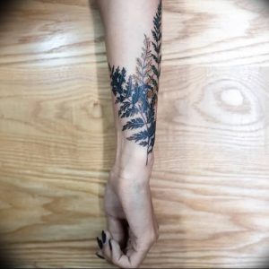 фото тату папоротник от 27.04.2018 №071 - tattoo fern - tattoo-photo.ru