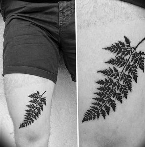 фото тату папоротник от 27.04.2018 №079 - tattoo fern - tattoo-photo.ru