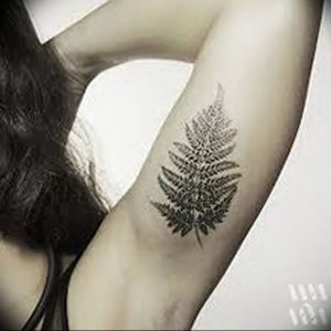 фото тату папоротник от 27.04.2018 №085 - tattoo fern - tattoo-photo.ru