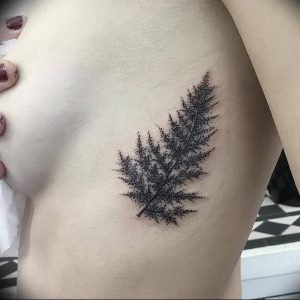 фото тату папоротник от 27.04.2018 №091 - tattoo fern - tattoo-photo.ru