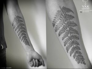 фото тату папоротник от 27.04.2018 №094 - tattoo fern - tattoo-photo.ru