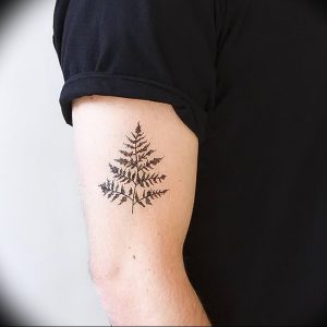 фото тату папоротник от 27.04.2018 №104 - tattoo fern - tattoo-photo.ru