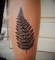 фото тату папоротник от 27.04.2018 №105 — tattoo fern — tattoo-photo.ru