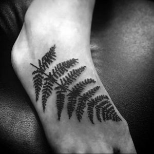 фото тату папоротник от 27.04.2018 №106 - tattoo fern - tattoo-photo.ru