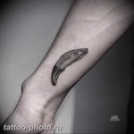 что значит зуб тату. Смотреть фото что значит зуб тату. Смотреть картинку что значит зуб тату. Картинка про что значит зуб тату. Фото что значит зуб тату