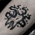 что значит тату зуб. Смотреть фото что значит тату зуб. Смотреть картинку что значит тату зуб. Картинка про что значит тату зуб. Фото что значит тату зуб