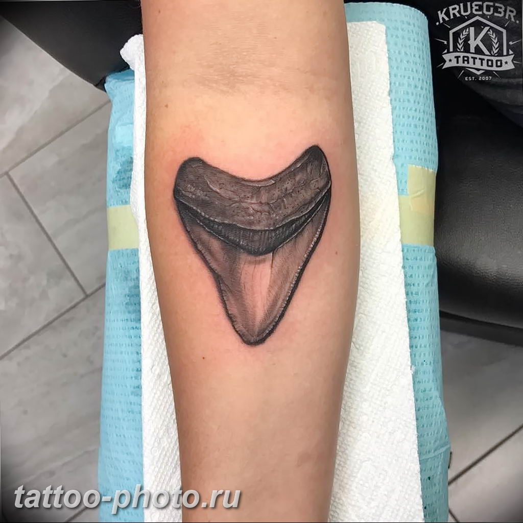 Boygenius tooth tattoo meaning