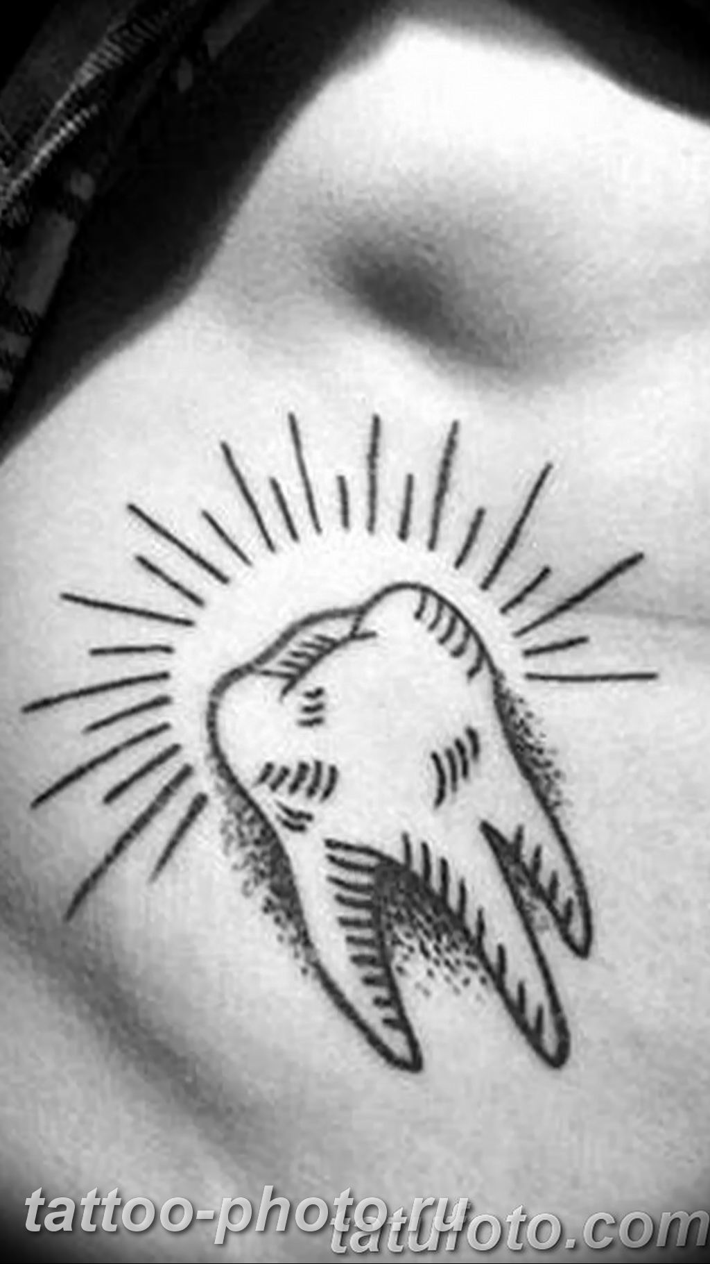 Зубы эскиз тату. Тату зубы значение. Тату зубы значение. Олд скул тату зуб. Зубы эскиз тату.