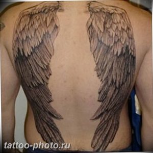 фото тату крылья 23.12.2018 №016 - photo tattoo wings - tattoo-photo.ru