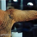 фото тату крылья 23.12.2018 №035 - photo tattoo wings - tattoo-photo.ru