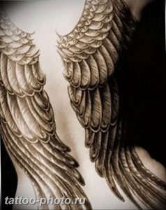 фото тату крылья 23.12.2018 №039 - photo tattoo wings - tattoo-photo.ru