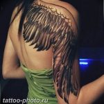 фото тату крылья 23.12.2018 №052 - photo tattoo wings - tattoo-photo.ru