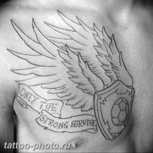 фото тату крылья 23.12.2018 №152 - photo tattoo wings - tattoo-photo.ru