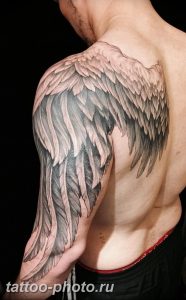 фото тату крылья 23.12.2018 №164 - photo tattoo wings - tattoo-photo.ru