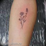 фото тату лаванда 24.12.2018 №029 - photo tattoo lavender - tattoo-photo.ru