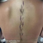 фото тату лаванда 24.12.2018 №049 - photo tattoo lavender - tattoo-photo.ru