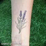 фото тату лаванда 24.12.2018 №063 - photo tattoo lavender - tattoo-photo.ru