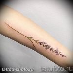 фото тату лаванда 24.12.2018 №064 - photo tattoo lavender - tattoo-photo.ru