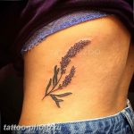 фото тату лаванда 24.12.2018 №082 - photo tattoo lavender - tattoo-photo.ru
