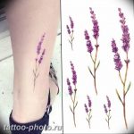 фото тату лаванда 24.12.2018 №094 - photo tattoo lavender - tattoo-photo.ru