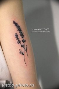 фото тату лаванда 24.12.2018 №095 - photo tattoo lavender - tattoo-photo.ru
