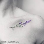 фото тату лаванда 24.12.2018 №121 - photo tattoo lavender - tattoo-photo.ru