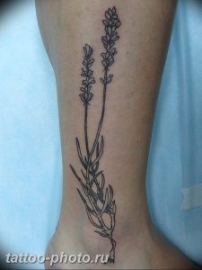 фото тату лаванда 24.12.2018 №135 - photo tattoo lavender - tattoo-photo.ru