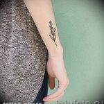 фото тату лаванда 24.12.2018 №146 - photo tattoo lavender - tattoo-photo.ru