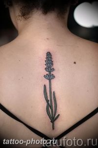фото тату лаванда 24.12.2018 №163 - photo tattoo lavender - tattoo-photo.ru