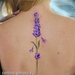 что означает тату веточка лаванды. Смотреть фото что означает тату веточка лаванды. Смотреть картинку что означает тату веточка лаванды. Картинка про что означает тату веточка лаванды. Фото что означает тату веточка лаванды