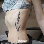фото тату лаванда 24.12.2018 №203 - photo tattoo lavender - tattoo-photo.ru