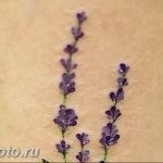 фото тату лаванда 24.12.2018 №209 - photo tattoo lavender - tattoo-photo.ru
