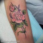 что означает тату веточка лаванды. Смотреть фото что означает тату веточка лаванды. Смотреть картинку что означает тату веточка лаванды. Картинка про что означает тату веточка лаванды. Фото что означает тату веточка лаванды