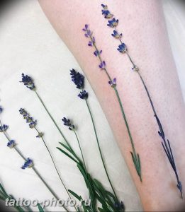 фото тату лаванда 24.12.2018 №243 - photo tattoo lavender - tattoo-photo.ru