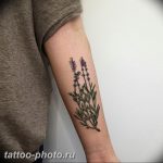 фото тату лаванда 24.12.2018 №256 - photo tattoo lavender - tattoo-photo.ru