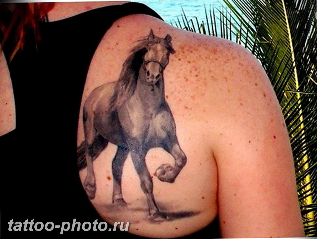 Татуировка коня на спине смешная