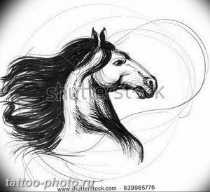 фото тату лошадь 24.12.2018 №220 - photo horse tattoo - tattoo-photo.ru