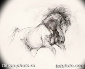 фото тату лошадь 24.12.2018 №273 - photo horse tattoo - tattoo-photo.ru