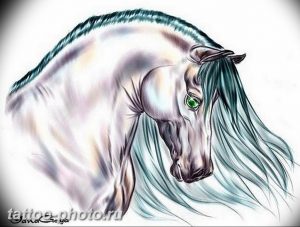 фото тату лошадь 24.12.2018 №288 - photo horse tattoo - tattoo-photo.ru