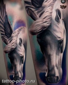 фото тату лошадь 24.12.2018 №309 - photo horse tattoo - tattoo-photo.ru
