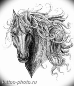 фото тату лошадь 24.12.2018 №472 - photo horse tattoo - tattoo-photo.ru